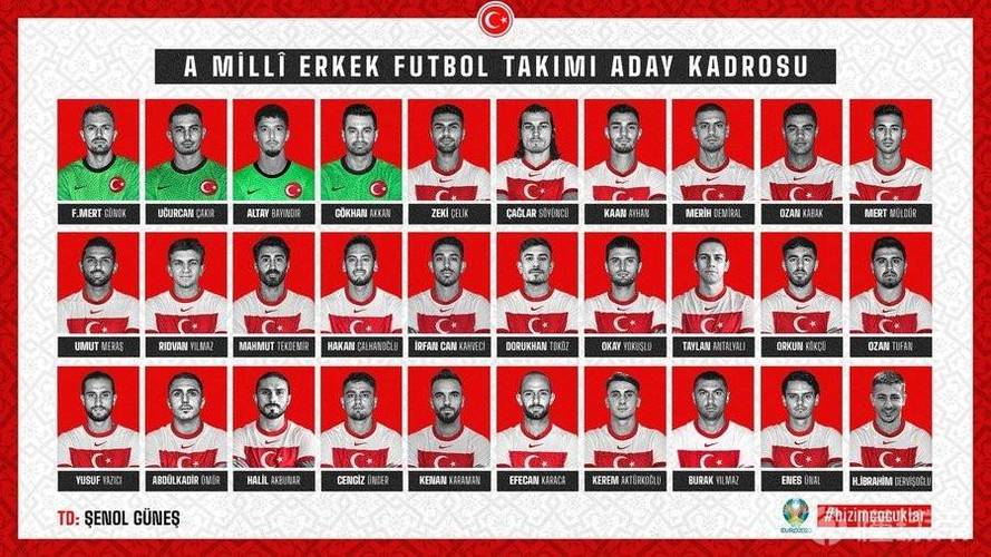 土耳其欧洲杯球队成员（土耳其欧洲杯球员名单）