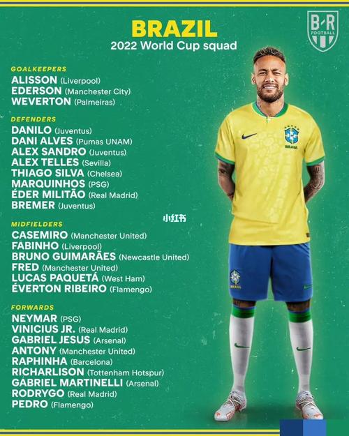 巴雷西欧洲杯（巴西欧洲杯大名单公布）