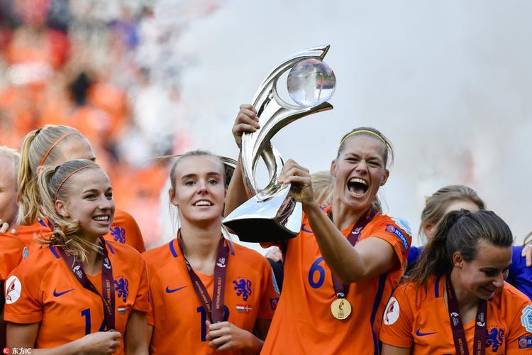 荷兰拿了欧洲杯冠军（荷兰得过欧洲杯冠军）